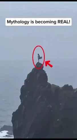 Mermaid and Winged Humanoid Spotted! 🧜‍♀️🦅 (Clear Footage)#mermaid #caughtoncamera #creepy #Mystery #fyp 