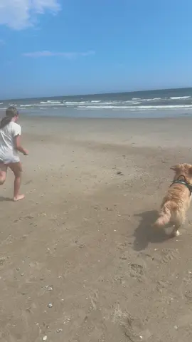 This video will live rent free in my memories forever!!  The happiest girl with her dog running freely on the beach 🩵 #beach #beachvibes #happygirl #goldenretriever #goldenretrieverlife 