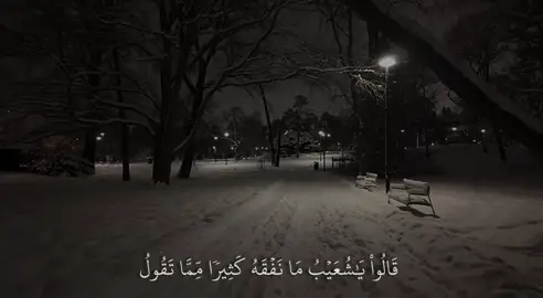 ﴿قالوا يا شُعَيبُ ما نَفقَهُ كَثيرًا مِمّا تَقولُ  [هود: ٩١]#ياسر_الدوسري #سورة_هود #اكتب_شي_توجر_عليه 