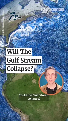 Will the Gulf Stream collapse and what will happen if it does? The Atlantic Meridional Overturning Circulation (AMOC) is the flow of warm, salty surface water from the tropics to north-western Europe, where it cools and sinks, returning south along the ocean floor. The part of this circulation running from the Gulf of Mexico up the US east coast to North Carolina, where it veers east into the Atlantic, is called the Gulf Stream. The AMOC is expected to lose strength as the melting of the Greenland ice sheet dumps fresh water into the north Atlantic, diluting the dense, salty AMOC water and slowing the rate at which it sinks and flows southward. Some research suggests that this is already happening, but scientists don’t have direct proof. Tap the link in our bio to find out more.