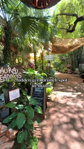 so so cute  . . . #miami #hiddengem #fyp 
