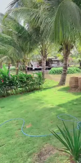 Có dịp anh em ghé fam của em nhé #xuhuong #viral #fyp 