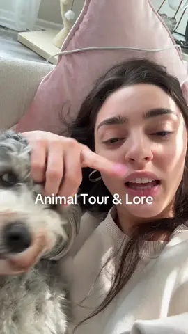 Animal fam intros!!! I’ve got 4 under 4 over here 🤪