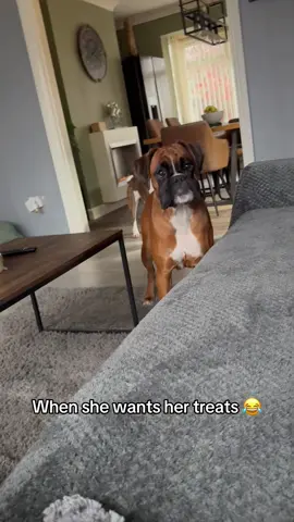 Doggo went 👅 (🎥:@Deciboy 💪🔥) 