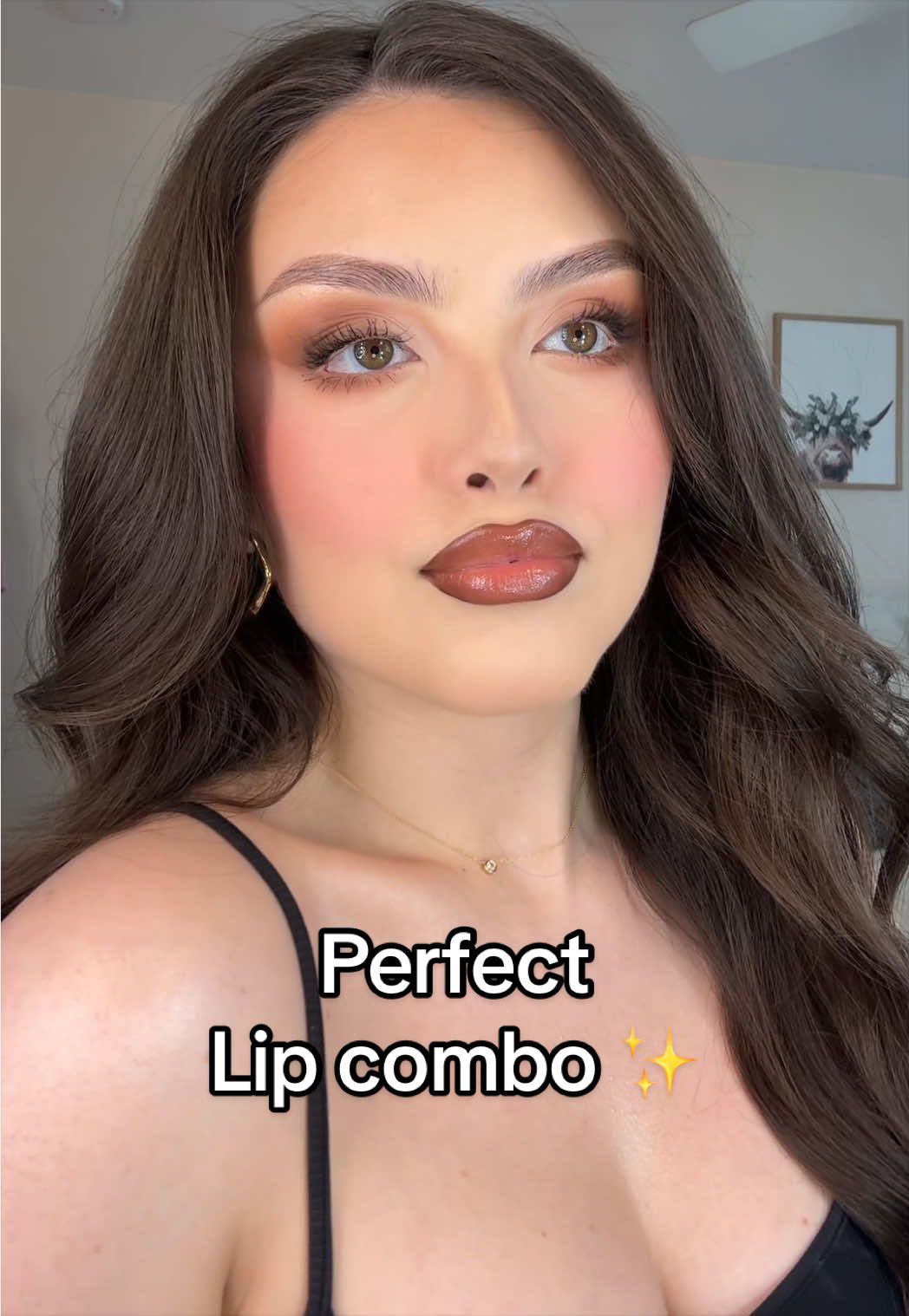 The Most Perfect lip combo ✨ @L.A. Girl Cosmetics Perfect Precision Lip Liner Pencil ( power move, caramel kiss)  L.a girl cosmetics shine on glossy balm  #maquillaje #makeup #tutorials #paratiiiiiiiiiiiiiiiiiiiiiiiiiiiiiii #lipcombo 