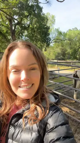 Enjoying California weather and Horse back riding #fyp #california #horses #farmlife #sunshine 