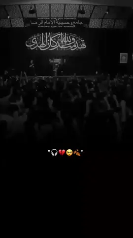#ياباعبدالله_الحسين🥺💔 #سيد_فاقد_الموسوي #tiktok #explore #fypالشعب_الصيني_ماله_حل😂😂 