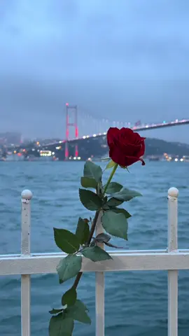 “Seni ben çok sevdim🤍