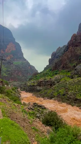 #گلي زنتا#دينارته_زيبارى_ئاكرئ_دهوك_كوردستان_اسيا #🌤️🏔️#