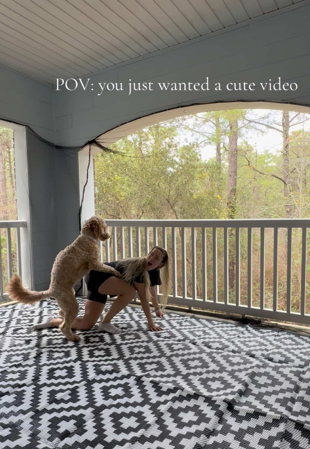 I can’t believe I got this on camera😂 #funnydog #funnycameramoments #humptydumpty 