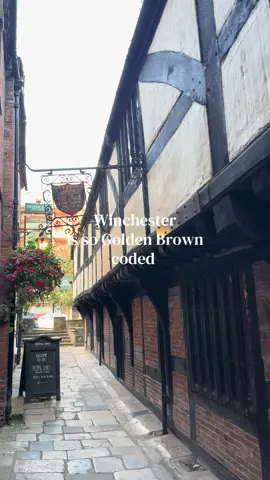 My beautiful city. #winchester #hampshire #hampshiretiktok #goldenbrown #historytok 