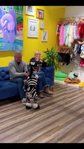 Dyed dogs walking around like they just dropped a new fashion trend 🐶😂 #FunnyDogs #ColorfulPup #DogComedy #PetHumor #TrendSetter