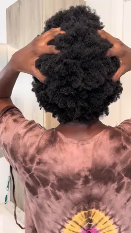 Voici comment démêler tes cheveux sans douleur et sans casse #haircare #haircareroutine #cheveuxnaturels #cheveuxcrepus 