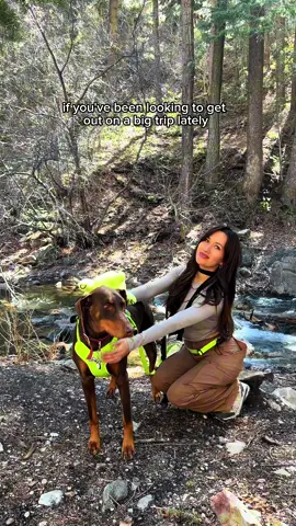 #BlueBuffaloPartner Nothing beats the feeling of a hike with your doggo. ⛰️ Zuko definitely earned his dinner today. We're refueling with BLUE Wilderness, the high-protein, meat-rich recipes are a huge help for his recovery and energy when we're hitting big miles. The 