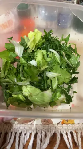 La mia cena di stasera insalata nel contenitore 🤣 #shaker #foodporn #trendfood #tiktokfood #healthyfood 💚🥗molto buona 😍