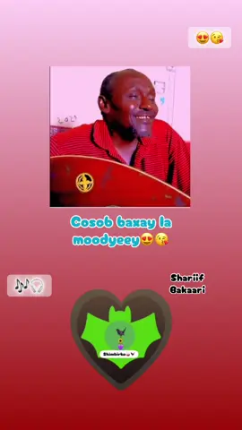 Cosob baxay la moodyeey Cawo iyo nasiibkeed calaf wuxu nasiiyaba Ma isla cuni doonaa? Huunooy  Ma isla cuni doonaa? #somalitiktok #shimbirwaaq #shariifbakaari #qaaci #somaliland 