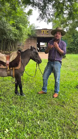 Já imaginou ele na sua casa?  Chama no privado e vamos negociar 🙏🏻🏆🐴⚜️💜🍀 
