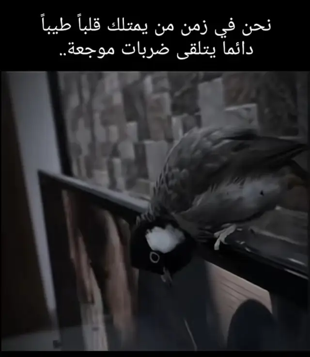 #عباراتكم_الفخمه📿📌 #foryou #مالي_خلق_احط_هاشتاقات🧢 #كسبلور #viralvideo 