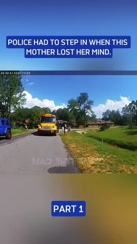 Police had to step in when this mother lost her mind.  #cops #copsoftiktok #police #policeofficer #bodycam