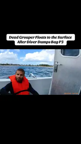 P3: Dead Grouper Floats to the Surface After Diver Dumps Bag #usa #cops #tiktokcops 