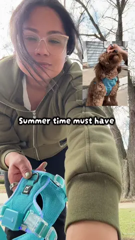 #dogwalking #dogharness #dogs #dogcollar #dogsoftiktok 