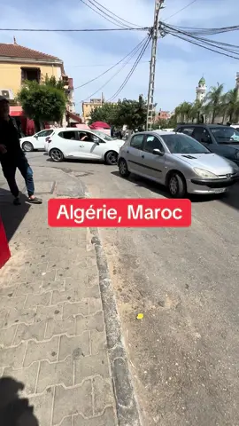 #algeria#maroc  #france#Italia  #pov 
