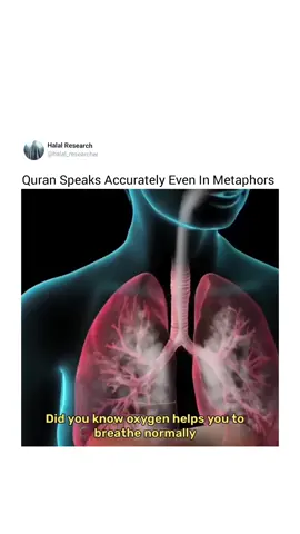 Amazing Miracle Of Quran