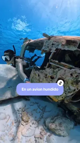 Si vieron al piloto verdad??? Se llama Pezdro 🤦🏻‍♀️ #snorkeling #apnea #avionhundido #bahamas #vivirenbarco 