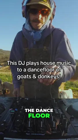 What would you do if you pulled up to the dancefloor and it was just a DJ playing funky house music to goats and donkeys? #discohousemusic #housemusicdj #djset #djmix #funkyhousemusic 