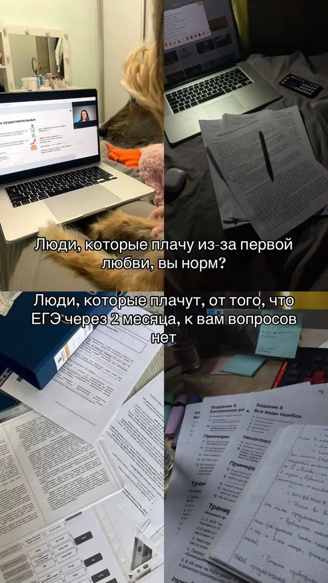 #insperia #рекомендации #ЕГЭ 