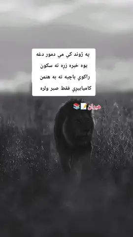 #viraltiktok #foryoupage #