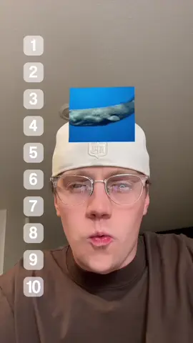 Doug vs other animals 😳 #fyp #cam2r #catsoftiktok #cat #viral 