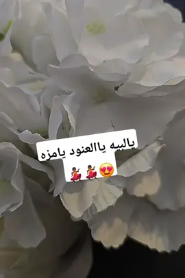 #💃🏽💃🏽💃🏽💃🏽💃🏽 #العنود 