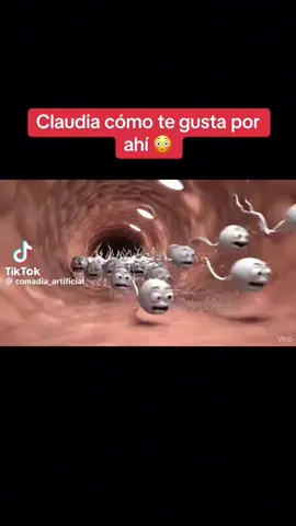 #claudiasheinbaum #ratas  #ladrones🤣 #DICTADURA #ENGAÑO A LA NACIÓN  TRAICIÓN 