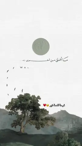 بشارة مولود اخوي بدون موسيقى  ممكن التعديل على التصميم وتعديل الكلام  #بشارة_مولود بإسم نواف #بشارة_حفيدي #بطاقة_مواليد #بشارة_عمات ثيم اخضر زيتي #دعوات_الكترونيه 