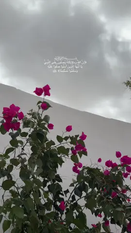 #مرام_المدينه🦌 #ليلة_الجمعة #يوم_الجمعة 