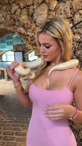 I love all animals 😌💕🐍