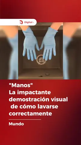 Lo estás haciendo mal! 🧼🧤 Mirá esta demostración visual que muestra por qué la técnica de lavado es tan importante. Usando pintura negra sobre guantes, se nota claramente qué zonas solemos olvidar si no seguimos los pasos correctos. Un hábito simple que salva vidas, explicado de la forma más clara posible. ✨ ¿Sabías que te faltaban cubrir tantas zonas? 👇