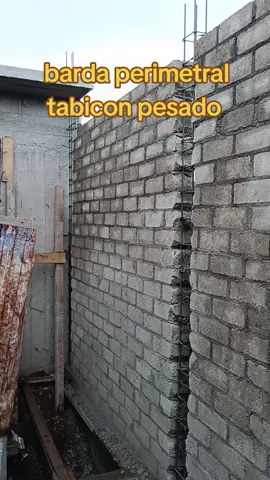 barda perimetral #construccion #albañil #albañileria #casahabitacion #castillos 
