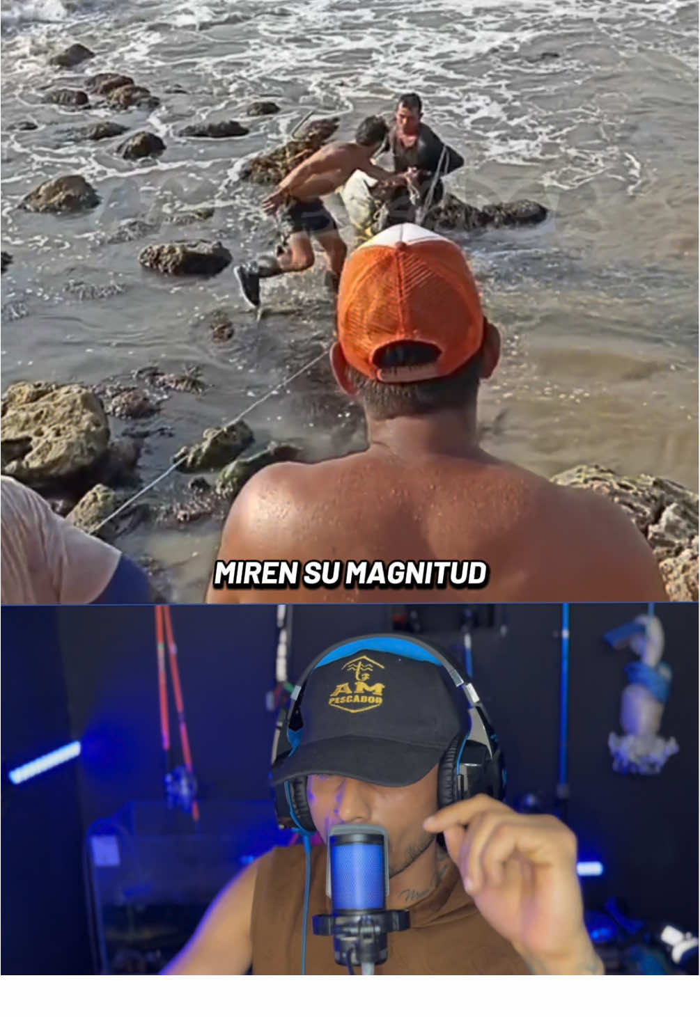 Atraparon al sábalo más grande. #fishing #peixegrande #pescaria #seafood #pesca 