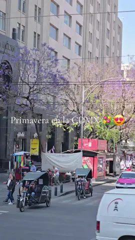 Con las jacarandas en la cdmx, se ve todavía mas hermoso 🤩