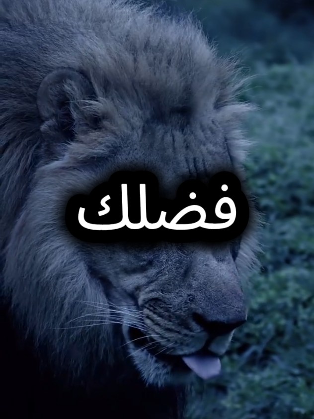 4. اياك ومصاحبتهم,#اقتباسات_عبارات_خواطر #عبارات #اقتباسات 