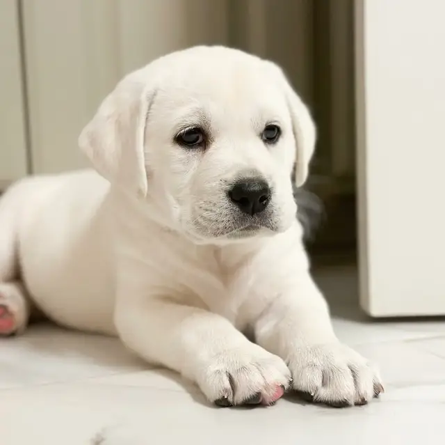 so cute and adorable 🥰