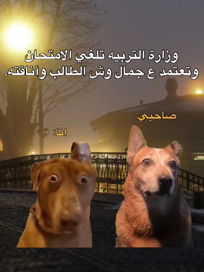 🙂💔 #ميمز #الشعب_الصيني_ماله_حل😂😂 #ضحك #fyp #viral 