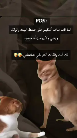 #CapCut #Meme #MemeCut #محضوره_من_الاكسبلور_🥺والمشاهدات #مشاهدات_تيك_توك🤣 