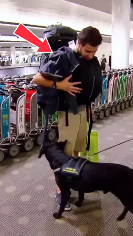 Nervous Passenger Stopped by Airport Police #airportsecurity #airport #smuggling #viral  #fyp 
