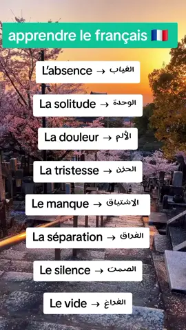 #tiktok #fyp #français #apprendresurtiktok #explore 