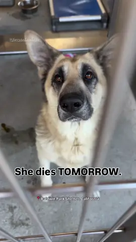 she doesn't want to die please save her🙏😭
