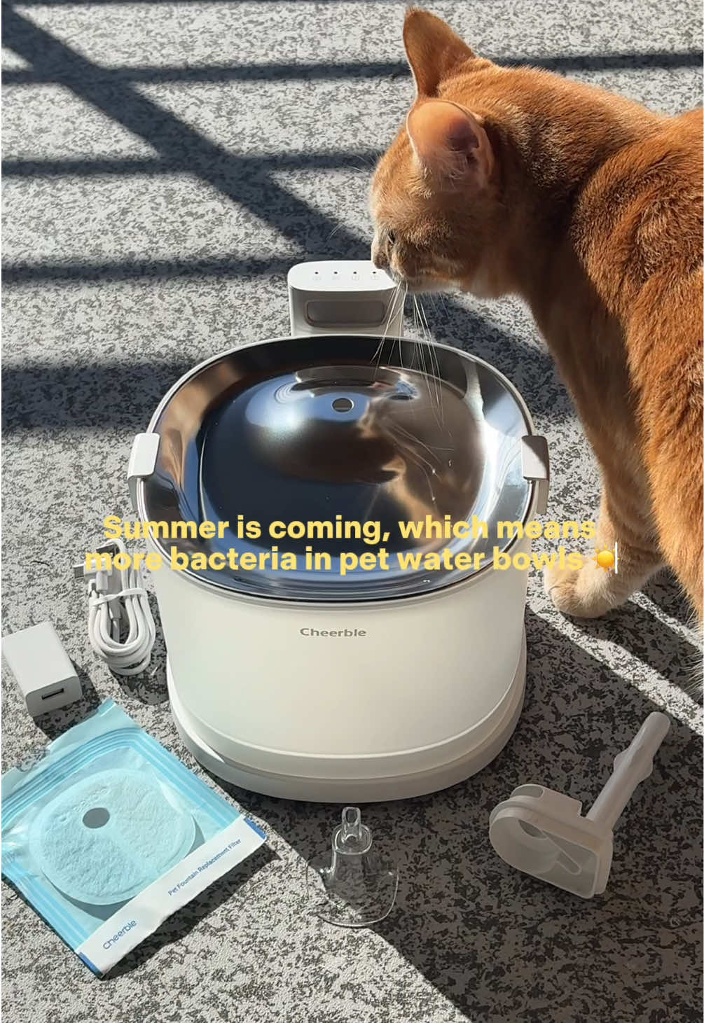 Finally upgraded Sparky and Ginger to a water fountain ☀️ This one from @Cheerble checked all my boxes—pump-free, stainless steel, and battery operated! Use my 5% code 05GINGER for up to 31% OFF sitewide! (Link in bio) #Cheerble #E1Plus #Petfountain #Pumpless #catsoftiktok 