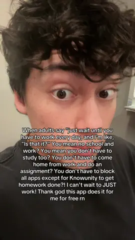 Can’t believe knowunity is free😭😭 #fyp #viral #studytok #school #work 